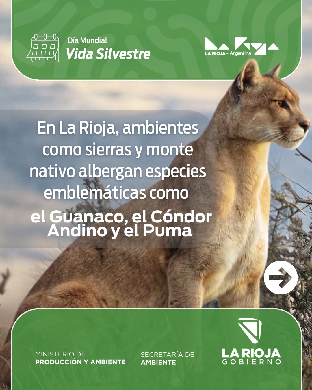 Día Mundial de la Vida Silvestre