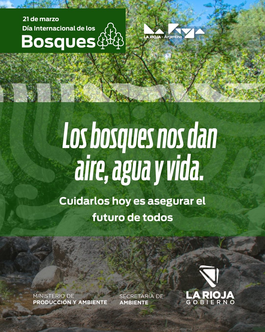 Día internacional de los Bosques
