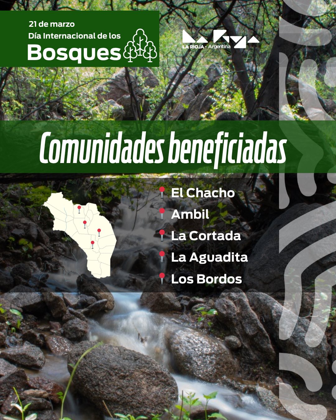 Día internacional de los Bosques