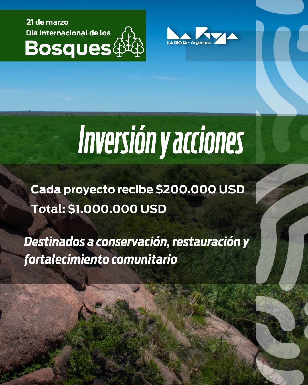 Día internacional de los Bosques
