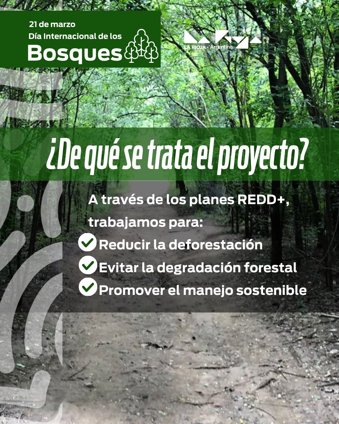 Día internacional de los Bosques