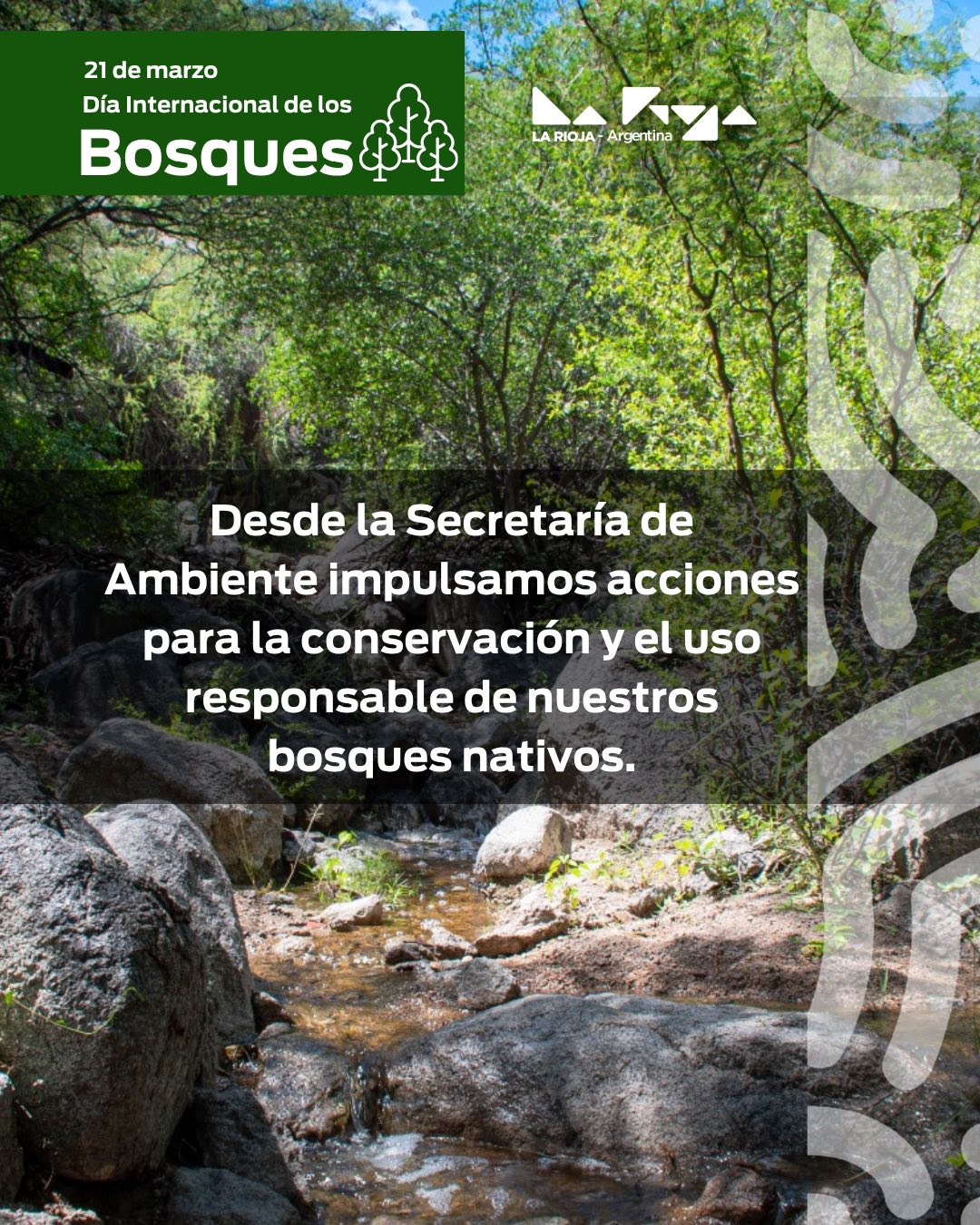 Día internacional de los Bosques