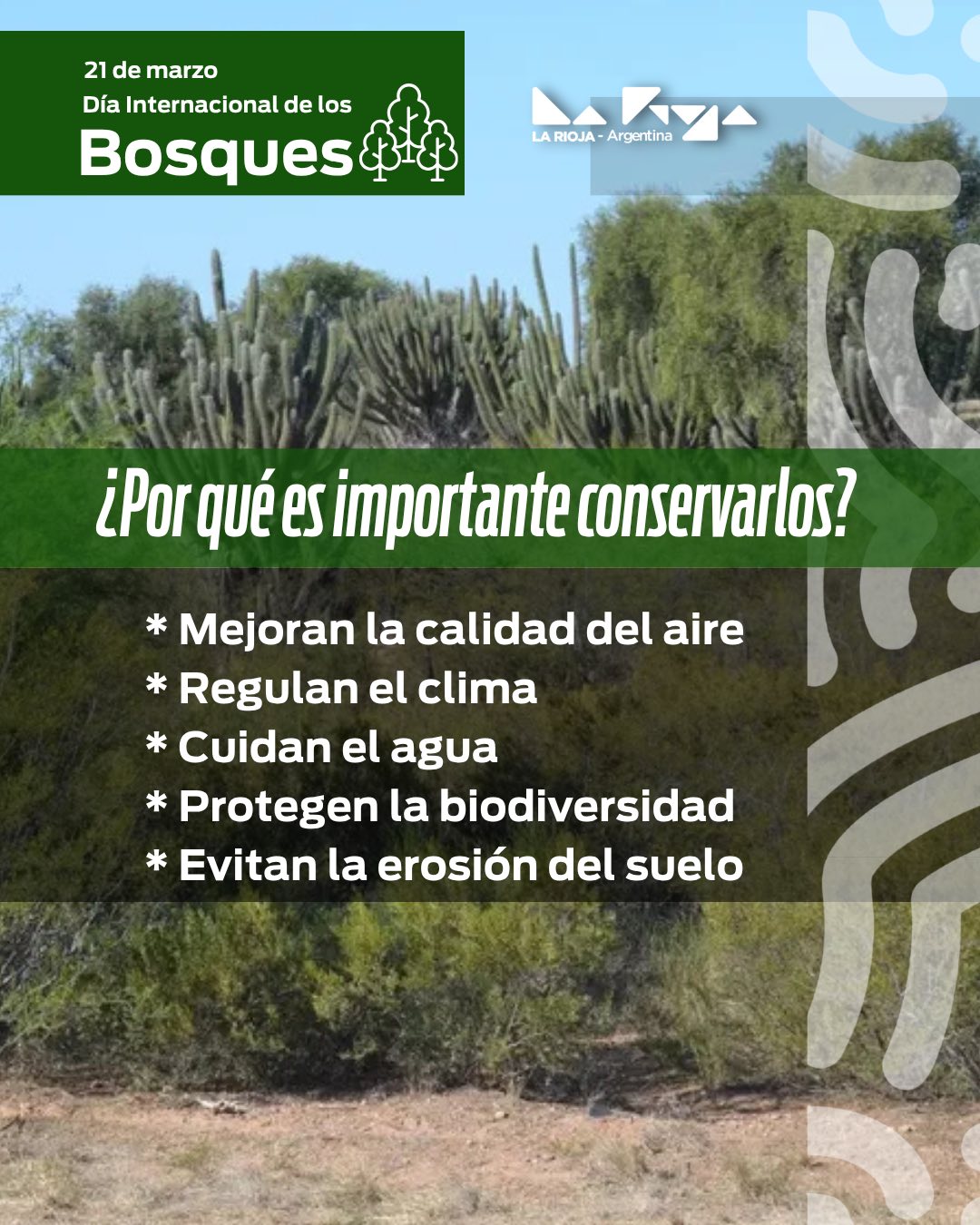 Día internacional de los Bosques