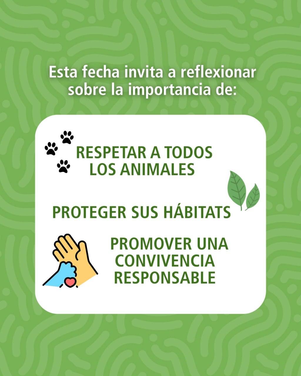29 de abril | Día del Animal