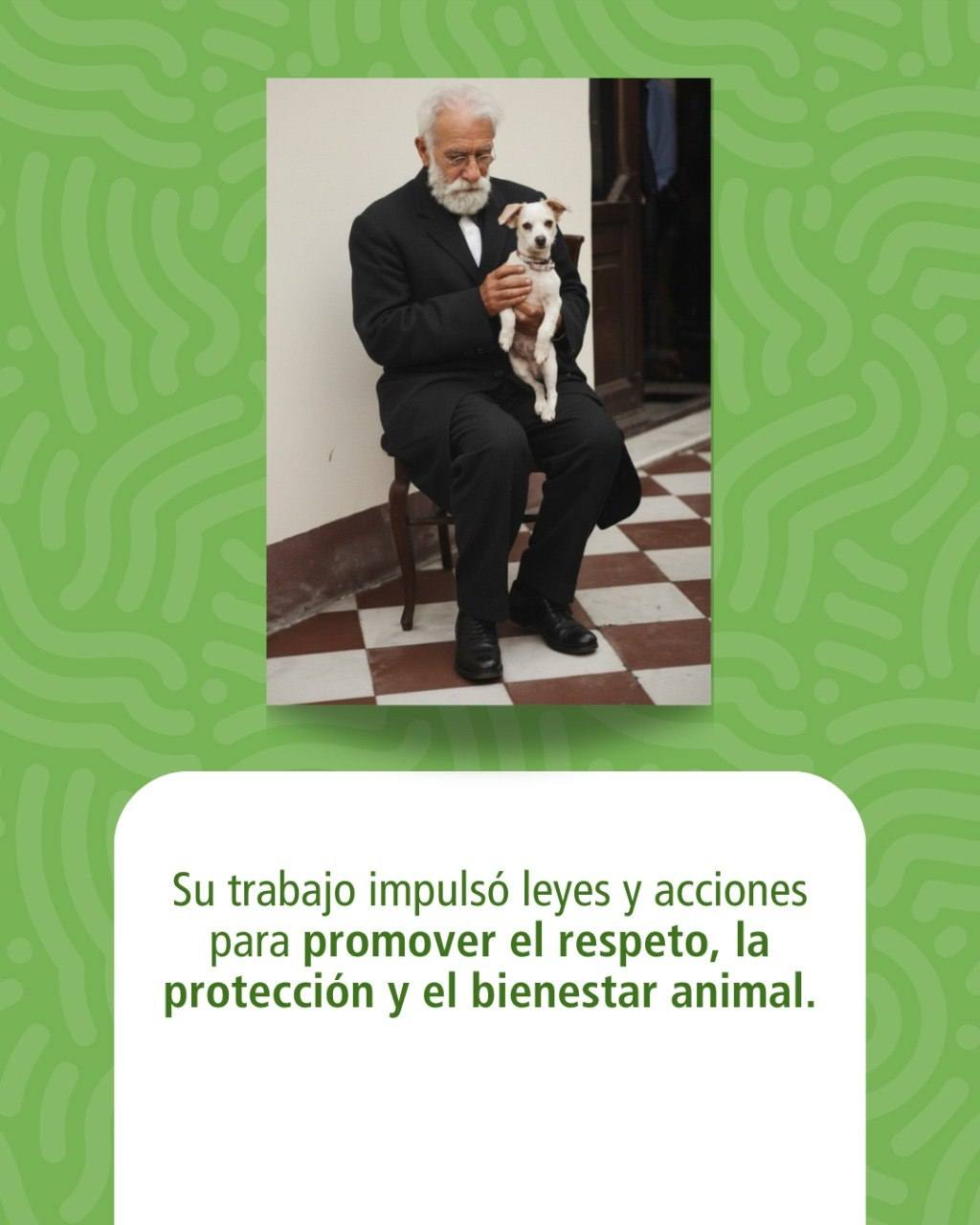 29 de abril | Día del Animal
