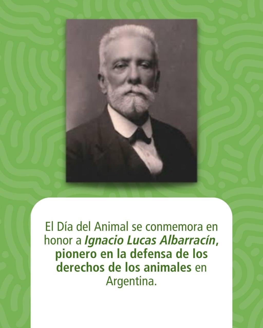 29 de abril | Día del Animal