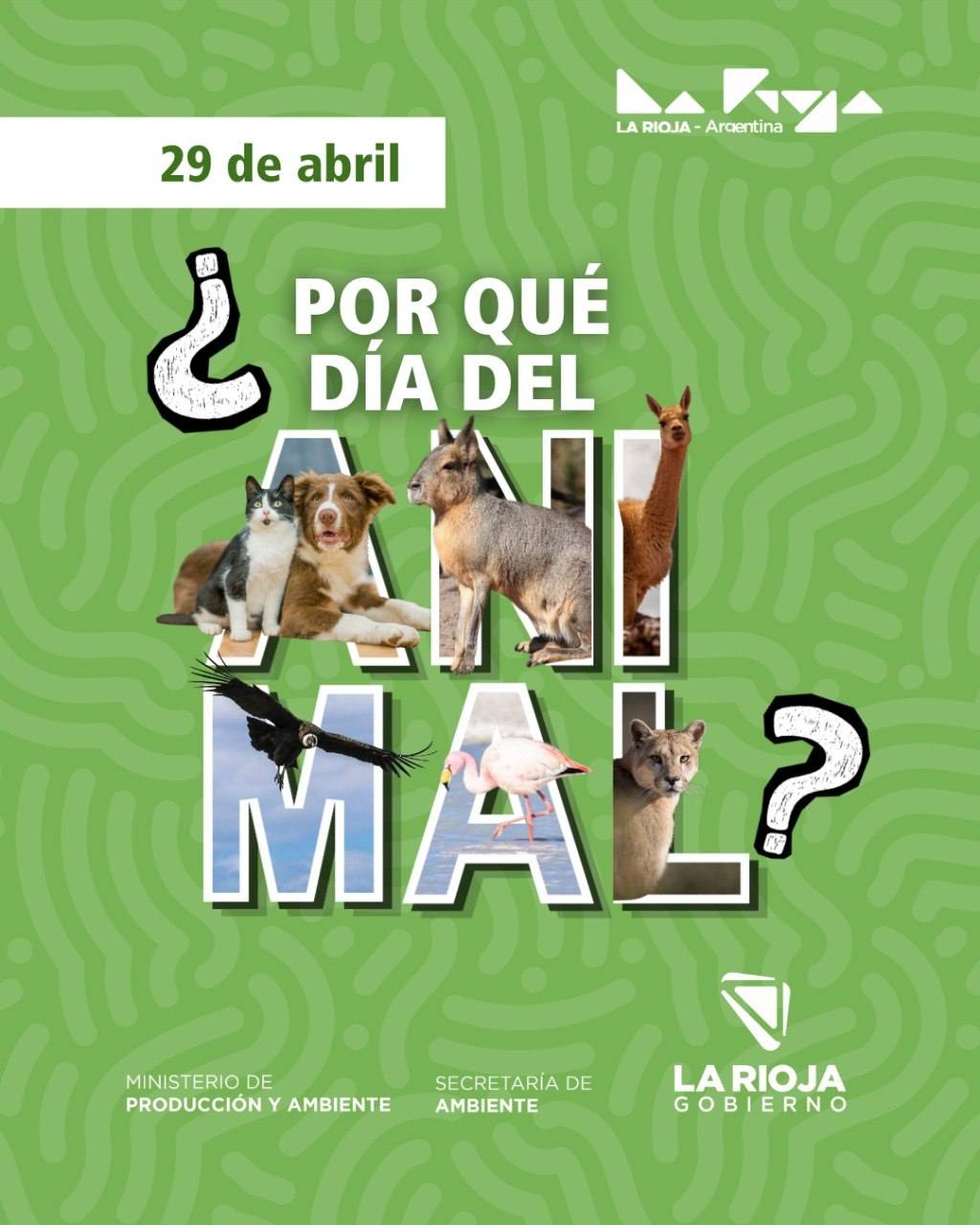 29 de abril | Día del Animal