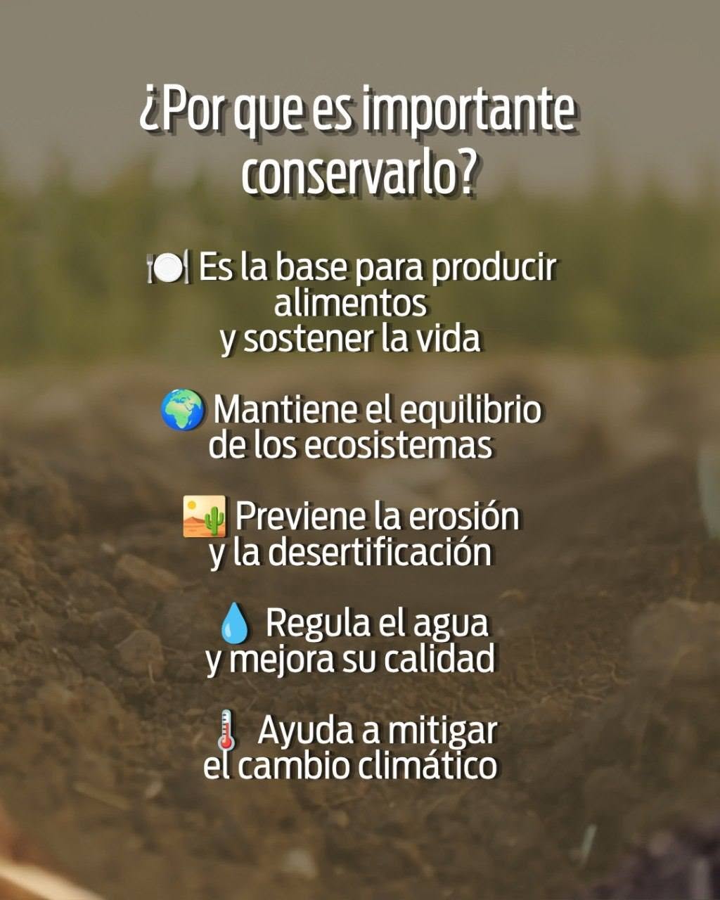 Hoy celebramos el Día de la Conservación del Suelo