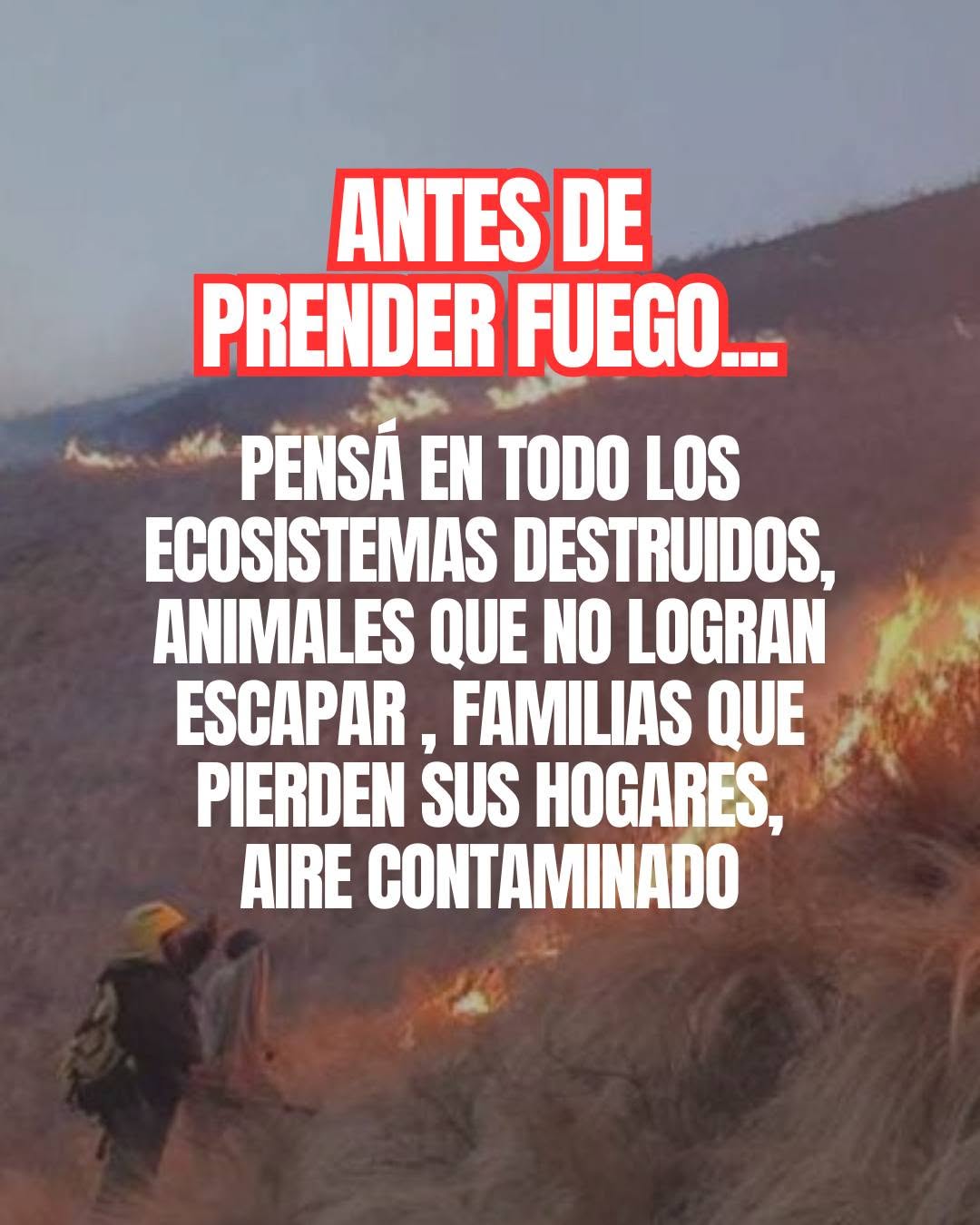Día Mundial de la Prevención de Incendios Forestales