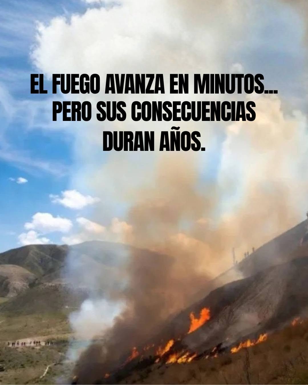 Día Mundial de la Prevención de Incendios Forestales