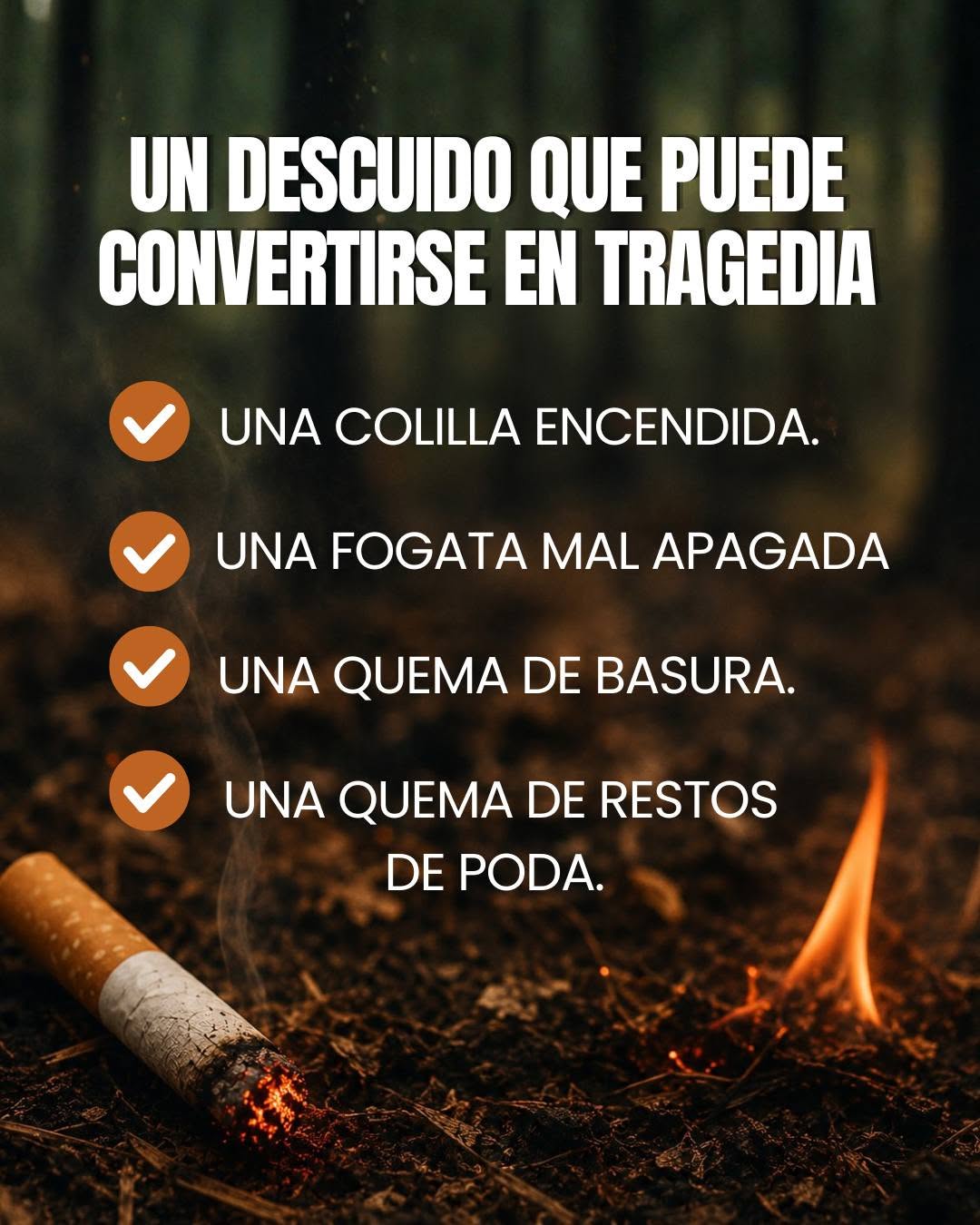 Día Mundial de la Prevención de Incendios Forestales