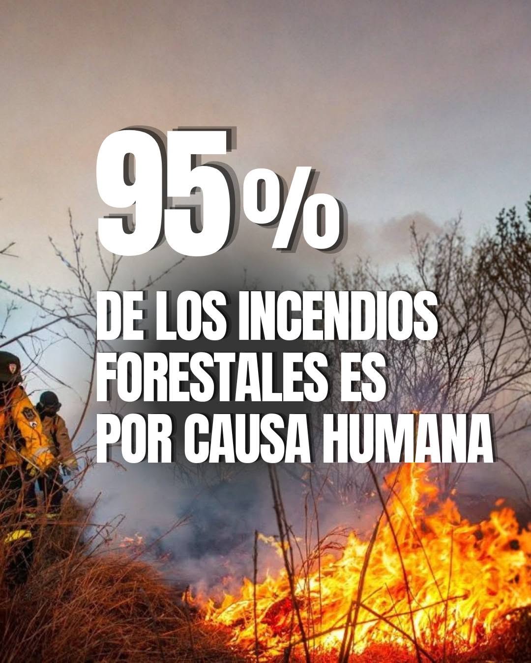 Día Mundial de la Prevención de Incendios Forestales