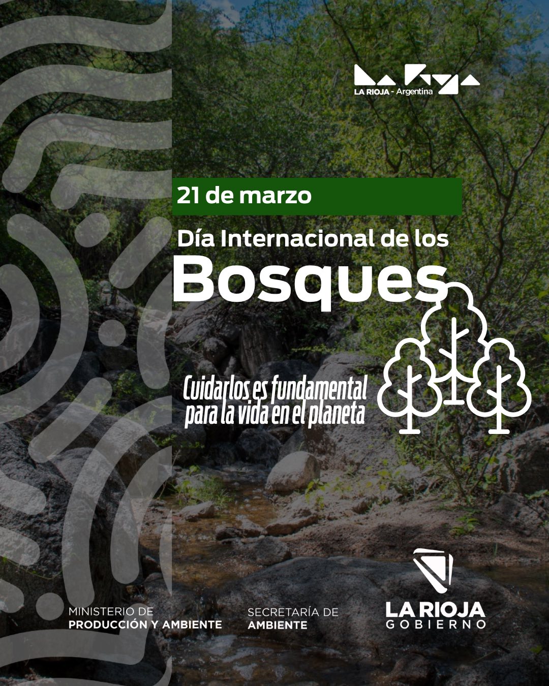 Día internacional de los Bosques