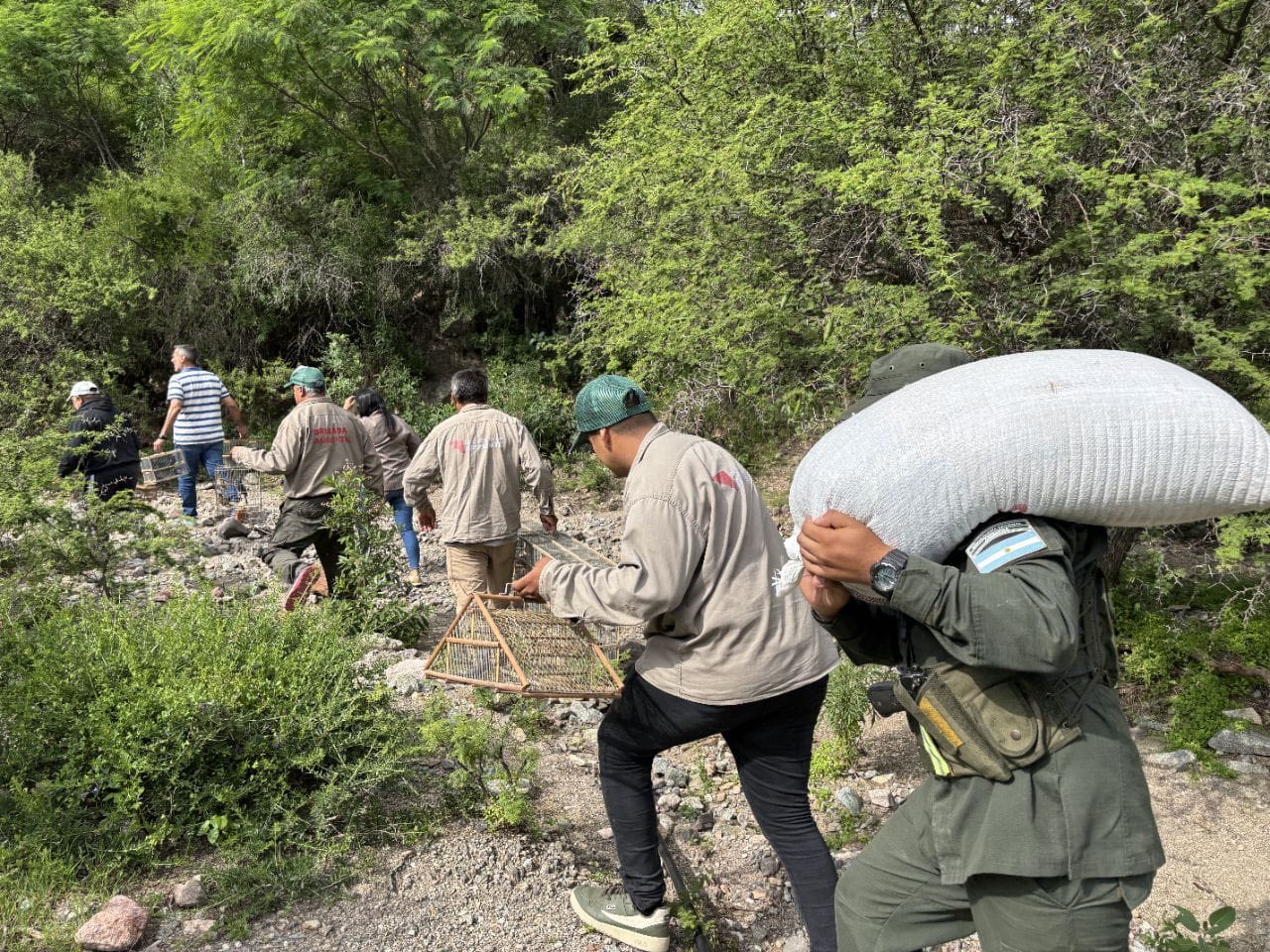 Operativo conjunto por la protección de la fauna