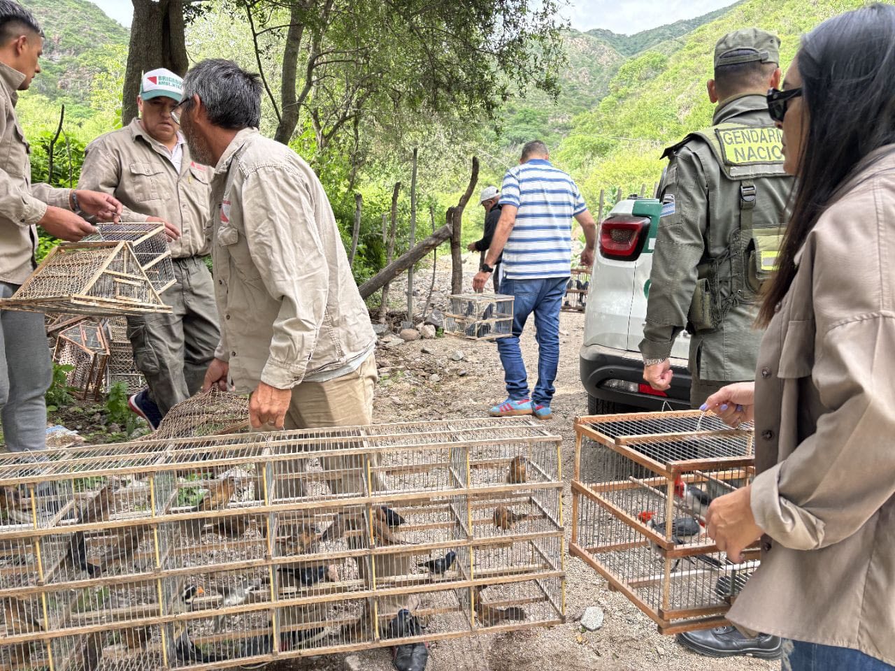 Operativo conjunto por la protección de la fauna