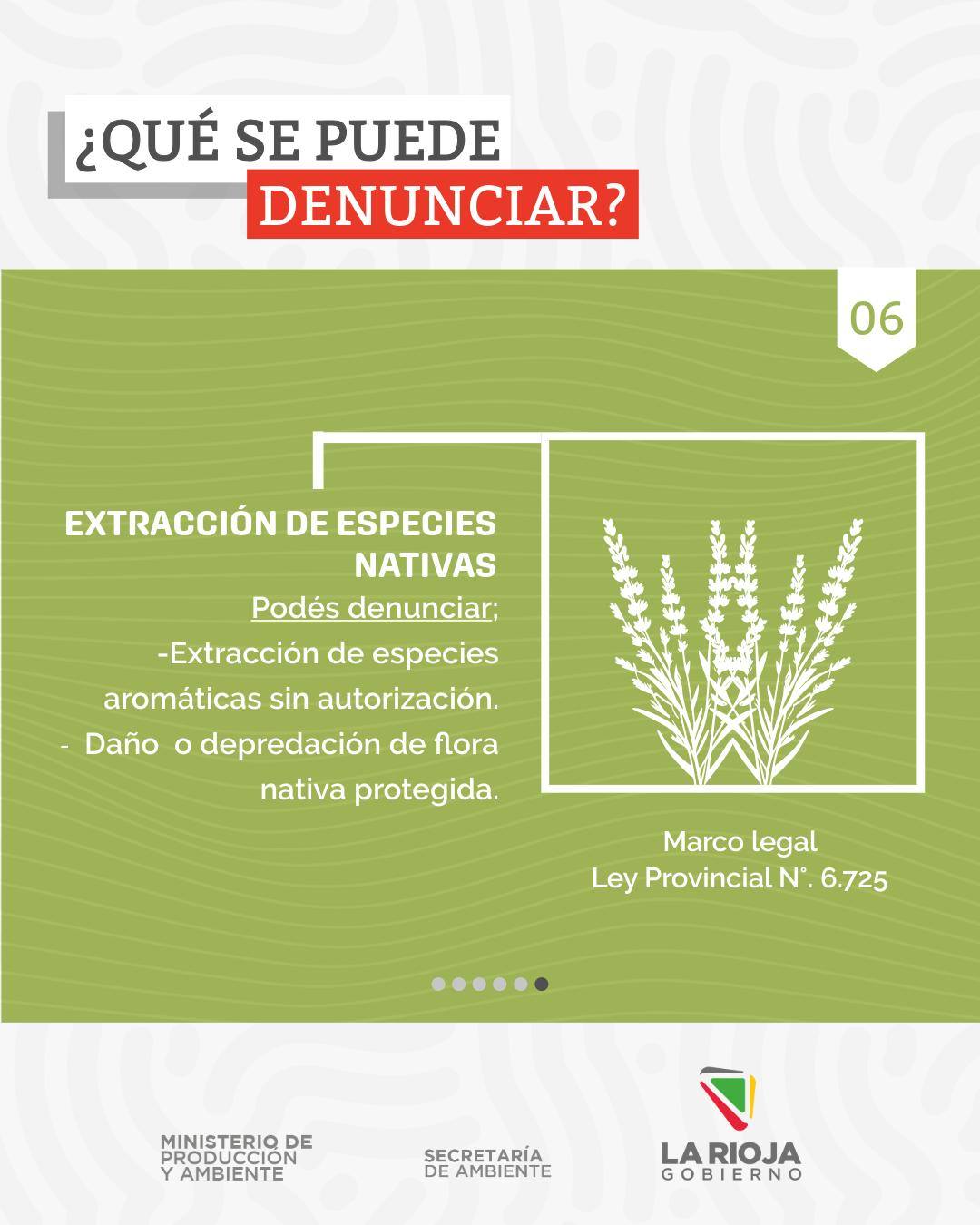 Te mostramos las denuncias que tomamos en nuestra Secretaría