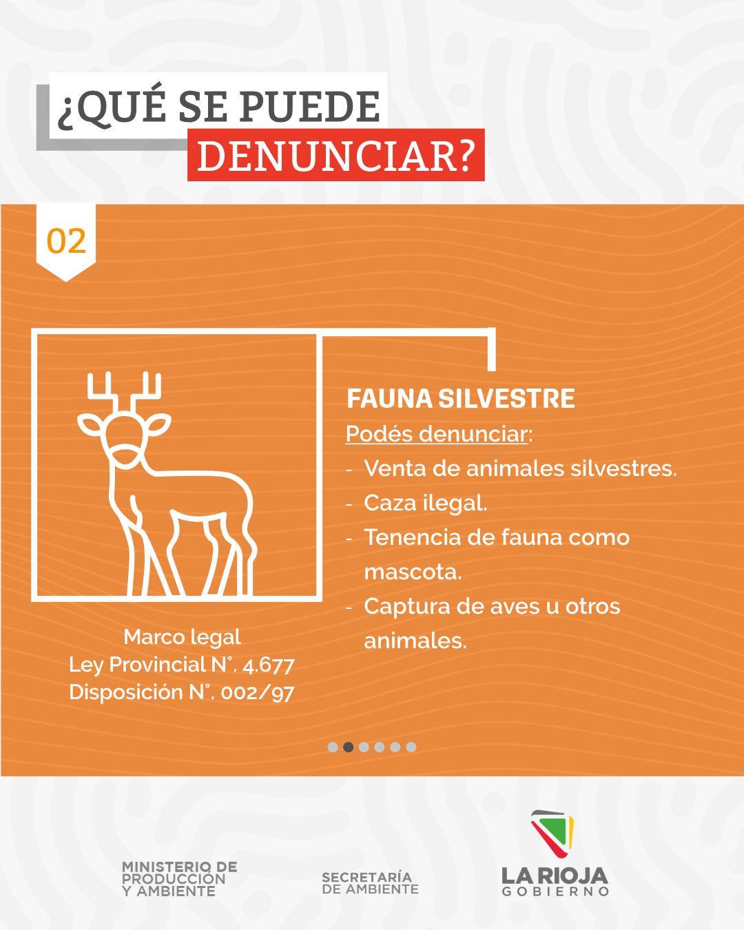 Te mostramos las denuncias que tomamos en nuestra Secretaría