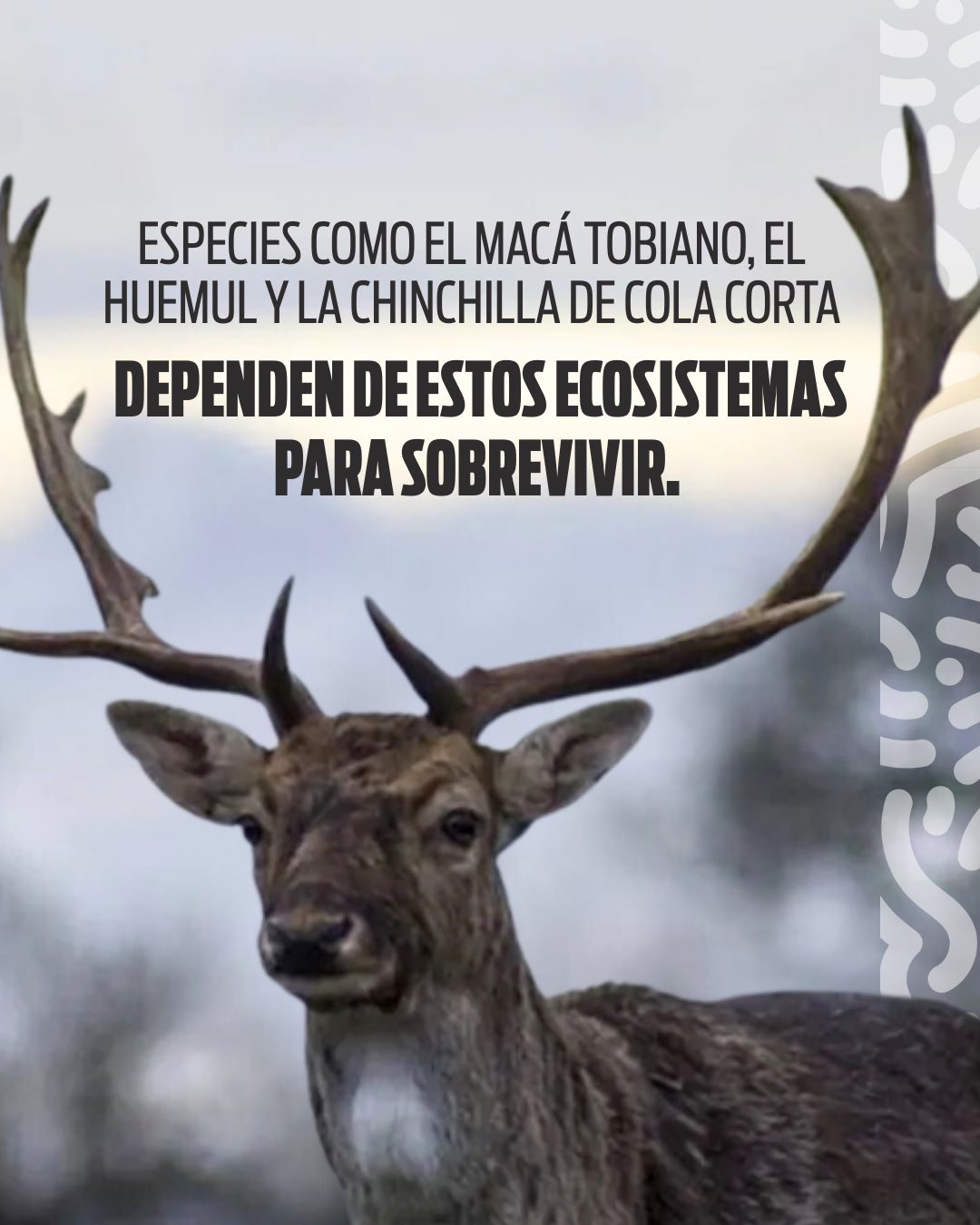 Proteger los glaciares y periglaciares