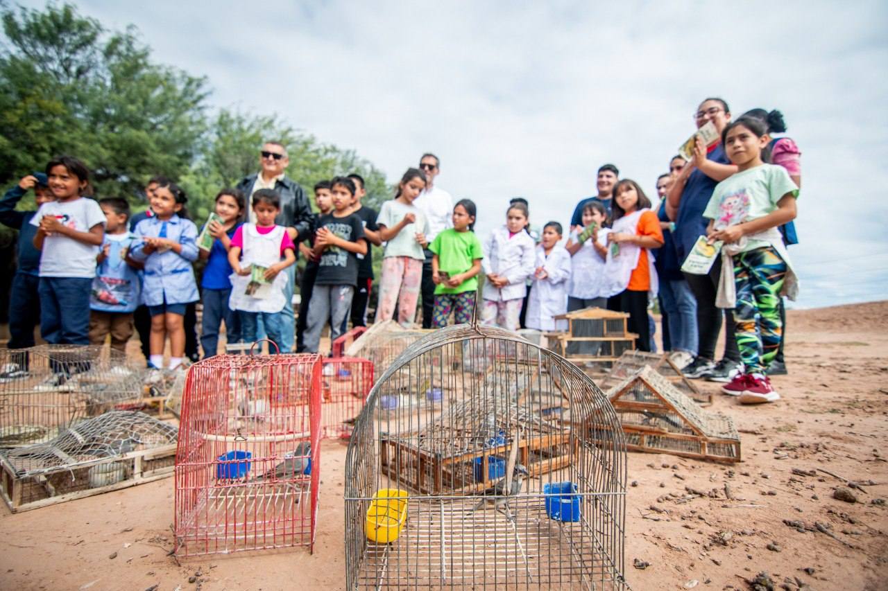 Alrededor de 30 aves silvestres recuperadas