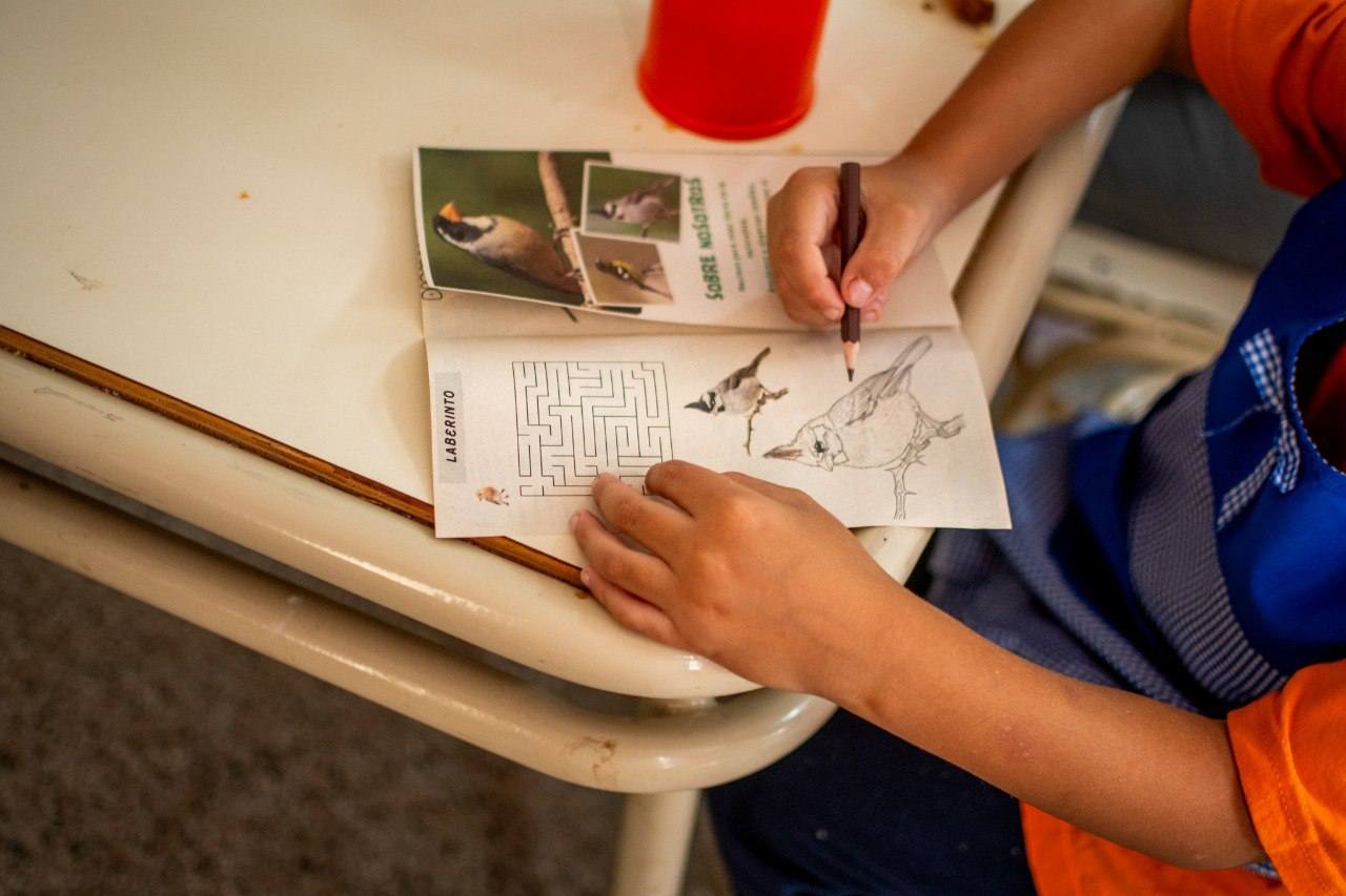 Alrededor de 30 aves silvestres recuperadas
