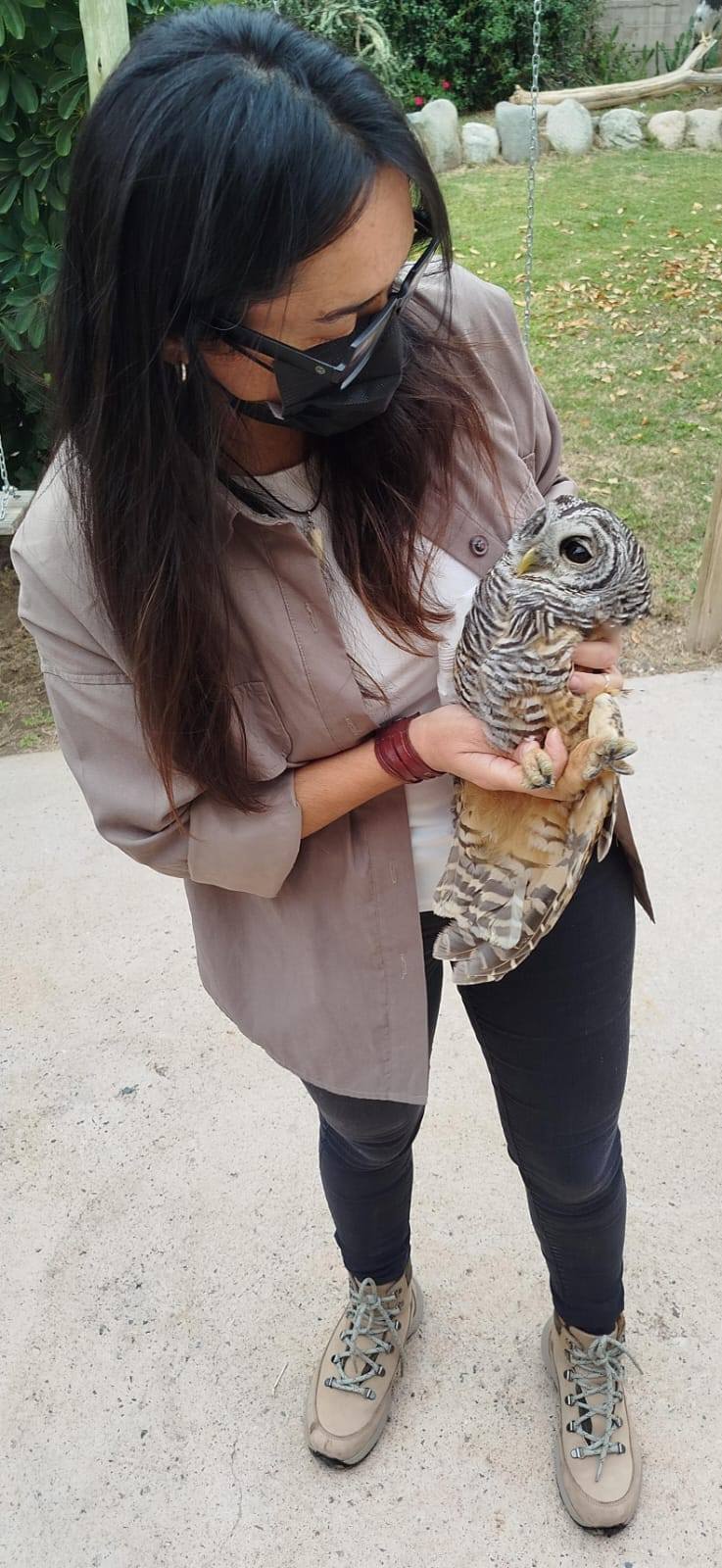 Rescate de una lechuza en el distrito Malligasta
