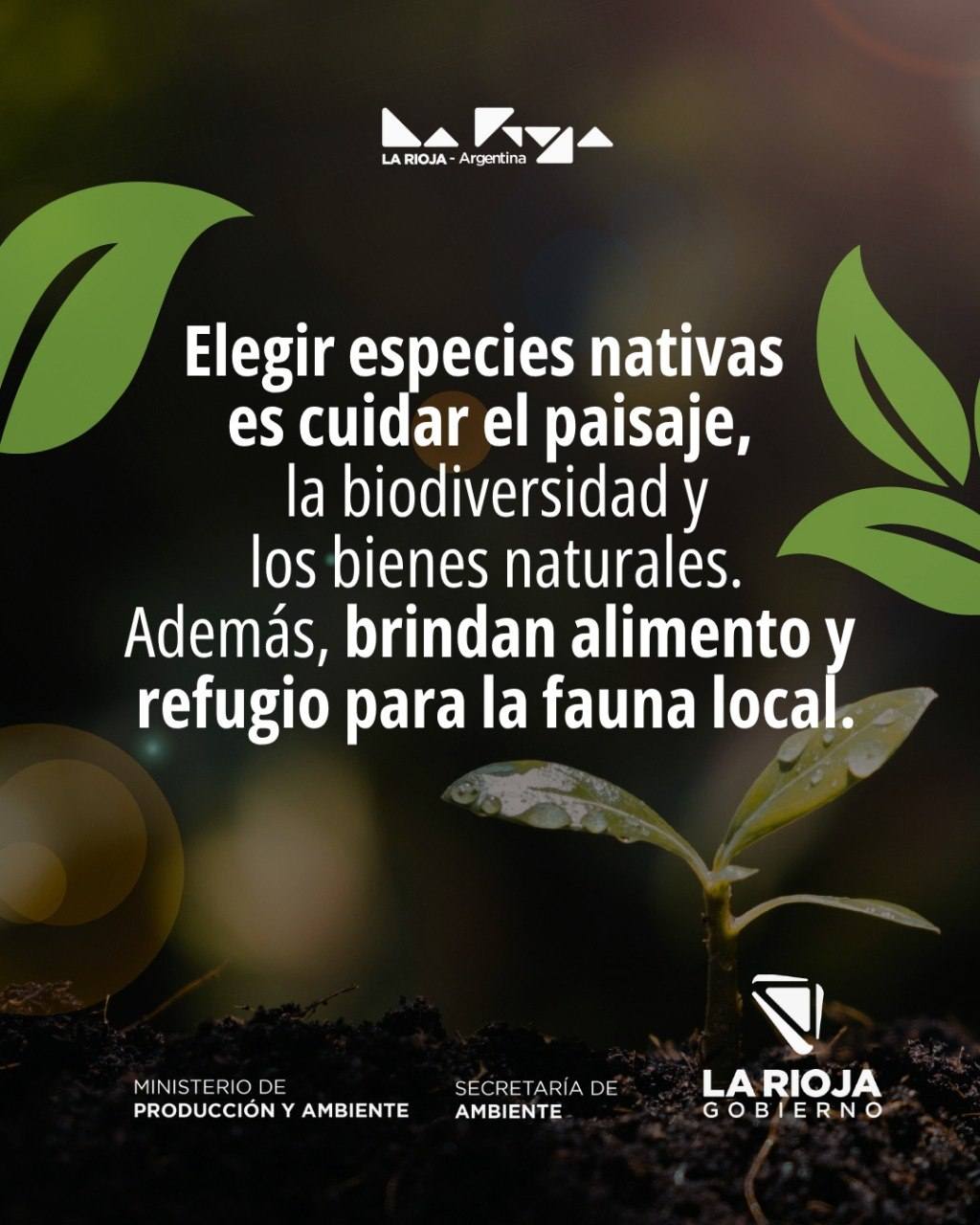 Flora nativa de nuestra provincia