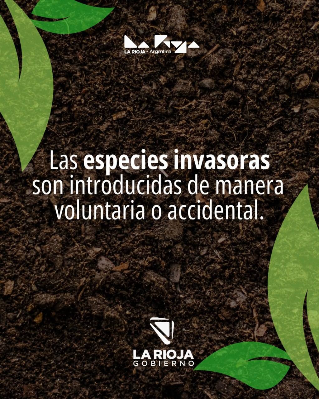 Flora nativa de nuestra provincia