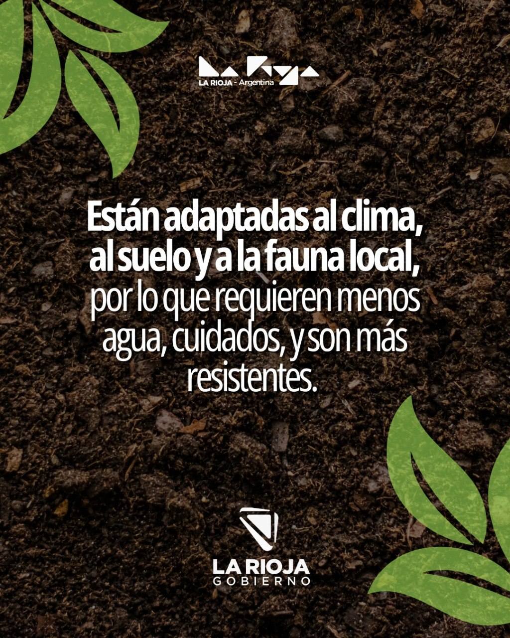 Flora nativa de nuestra provincia