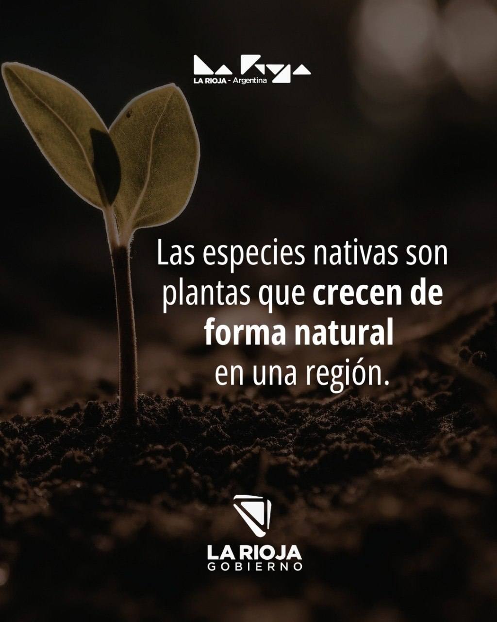 Flora nativa de nuestra provincia