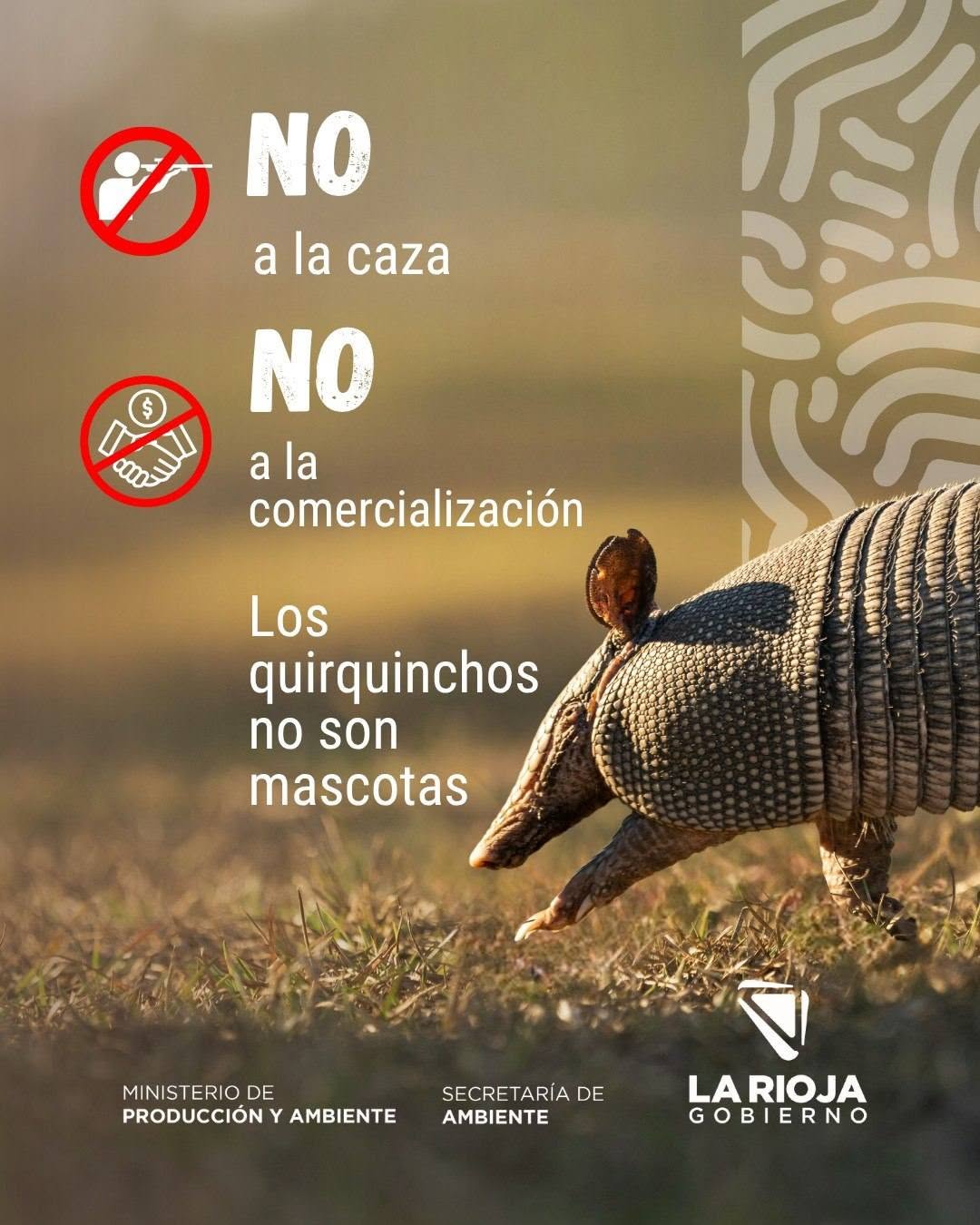 El quirquincho nos necesita. Cuidarlo es responsabilidad de todos