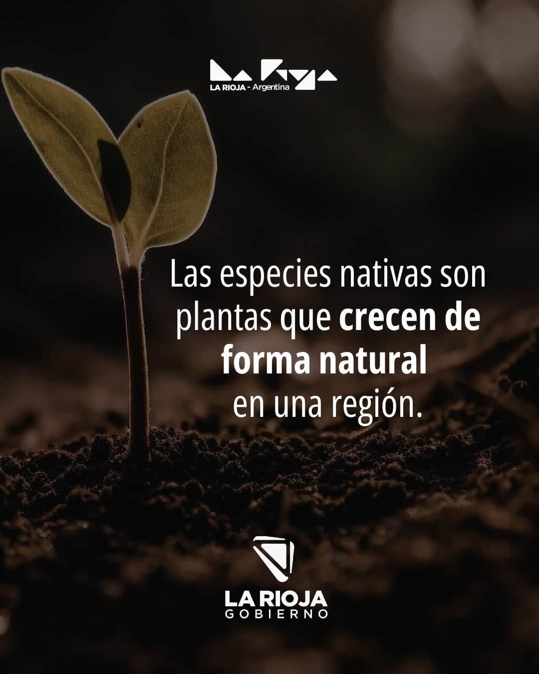 Conociendo nuestra flora nativa