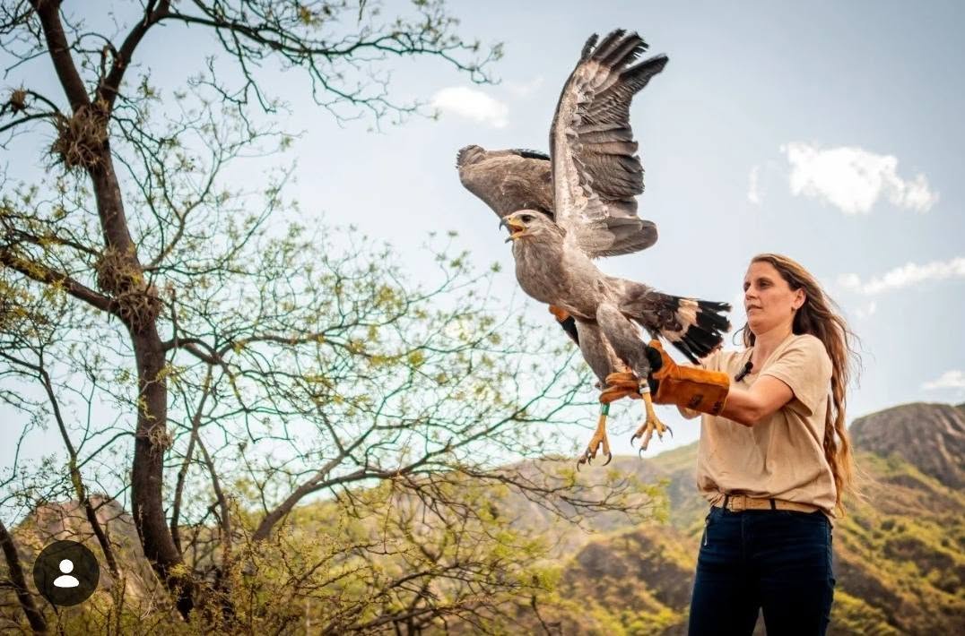 Seguimos trabajando por nuestra fauna silvestre
