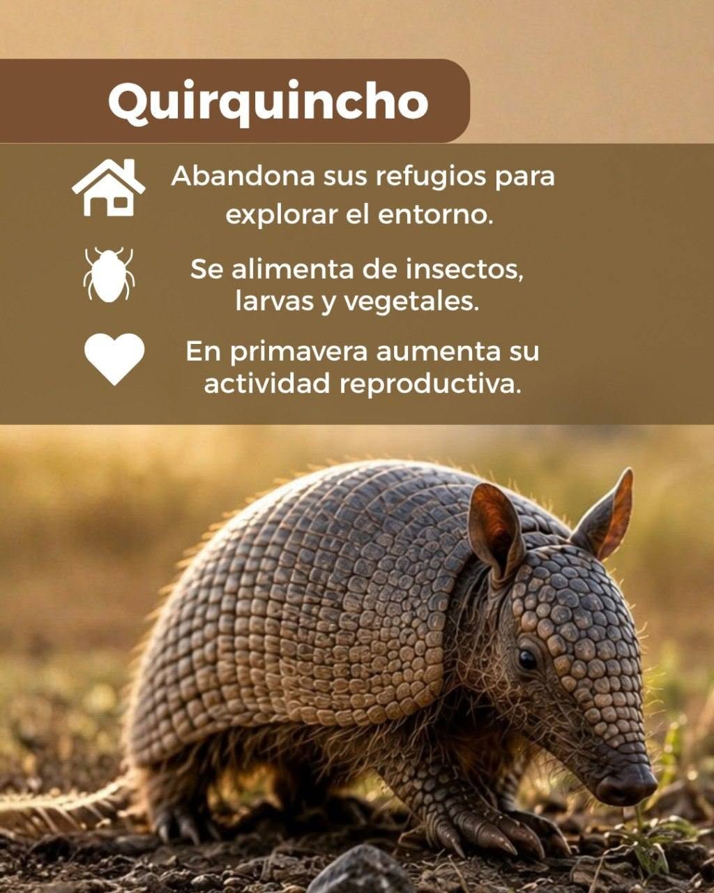La primavera despierta mucho más que flores… ¡también despierta a nuestra fauna!