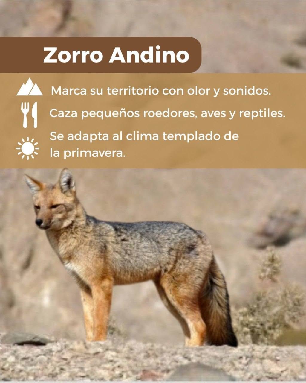 La primavera despierta mucho más que flores… ¡también despierta a nuestra fauna!