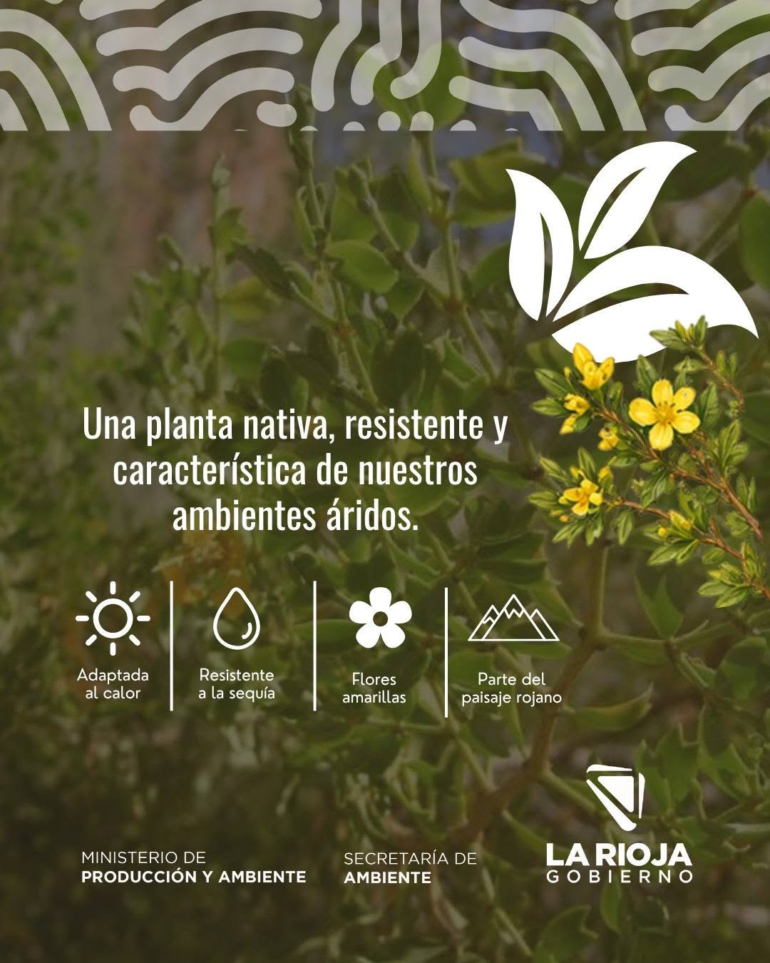 Nuestra Flora, nuestro patrimonio