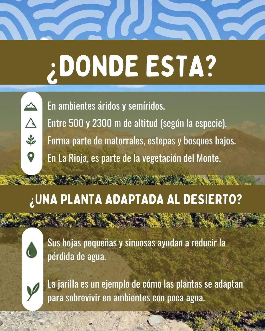 Nuestra Flora, nuestro patrimonio