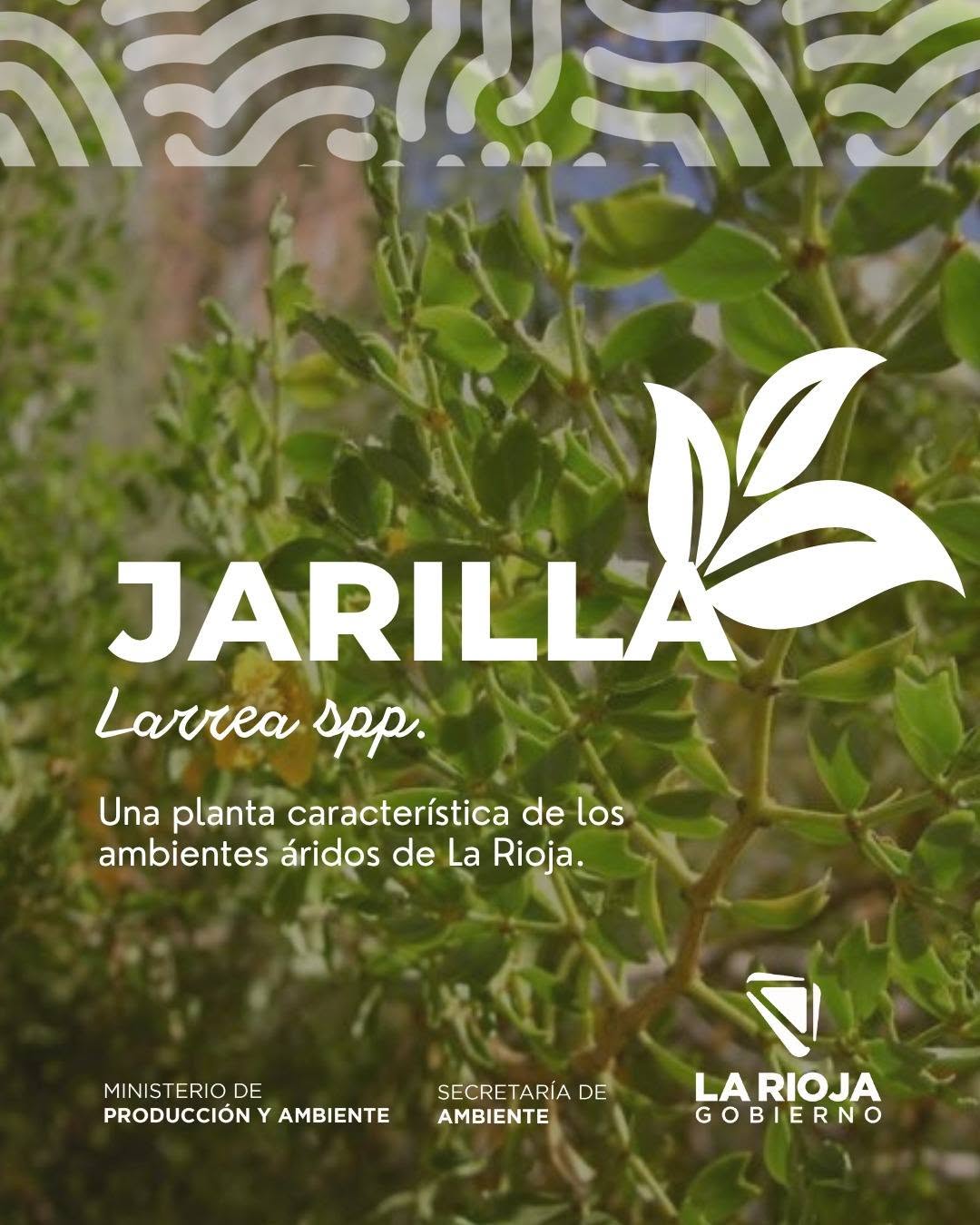 Nuestra Flora, nuestro patrimonio