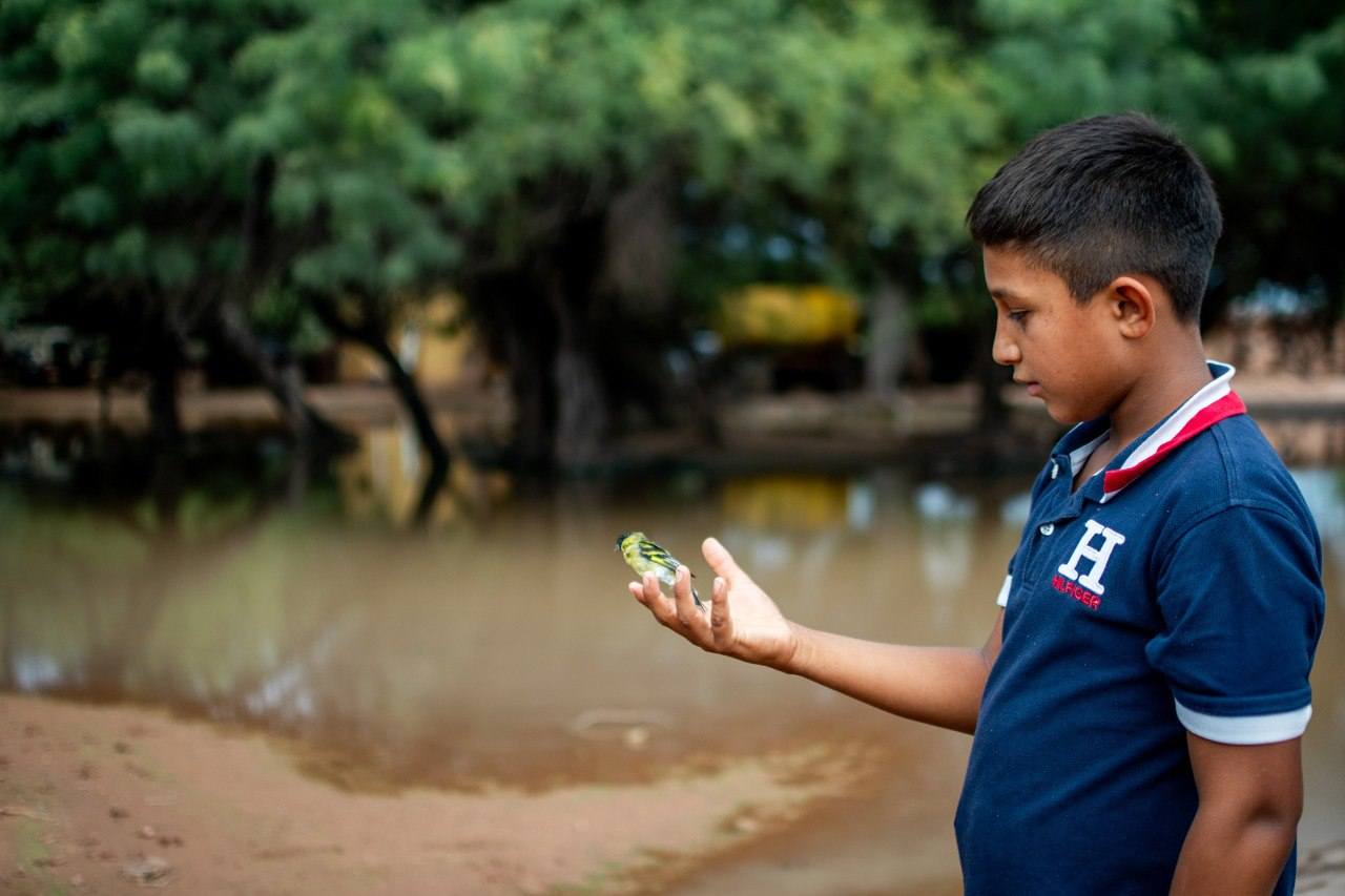 Alrededor de 30 aves silvestres recuperadas