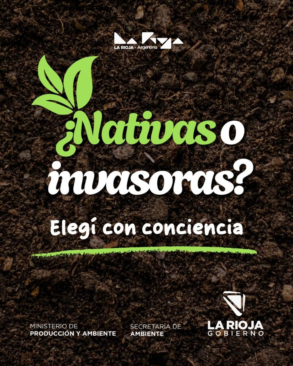 Flora nativa de nuestra provincia