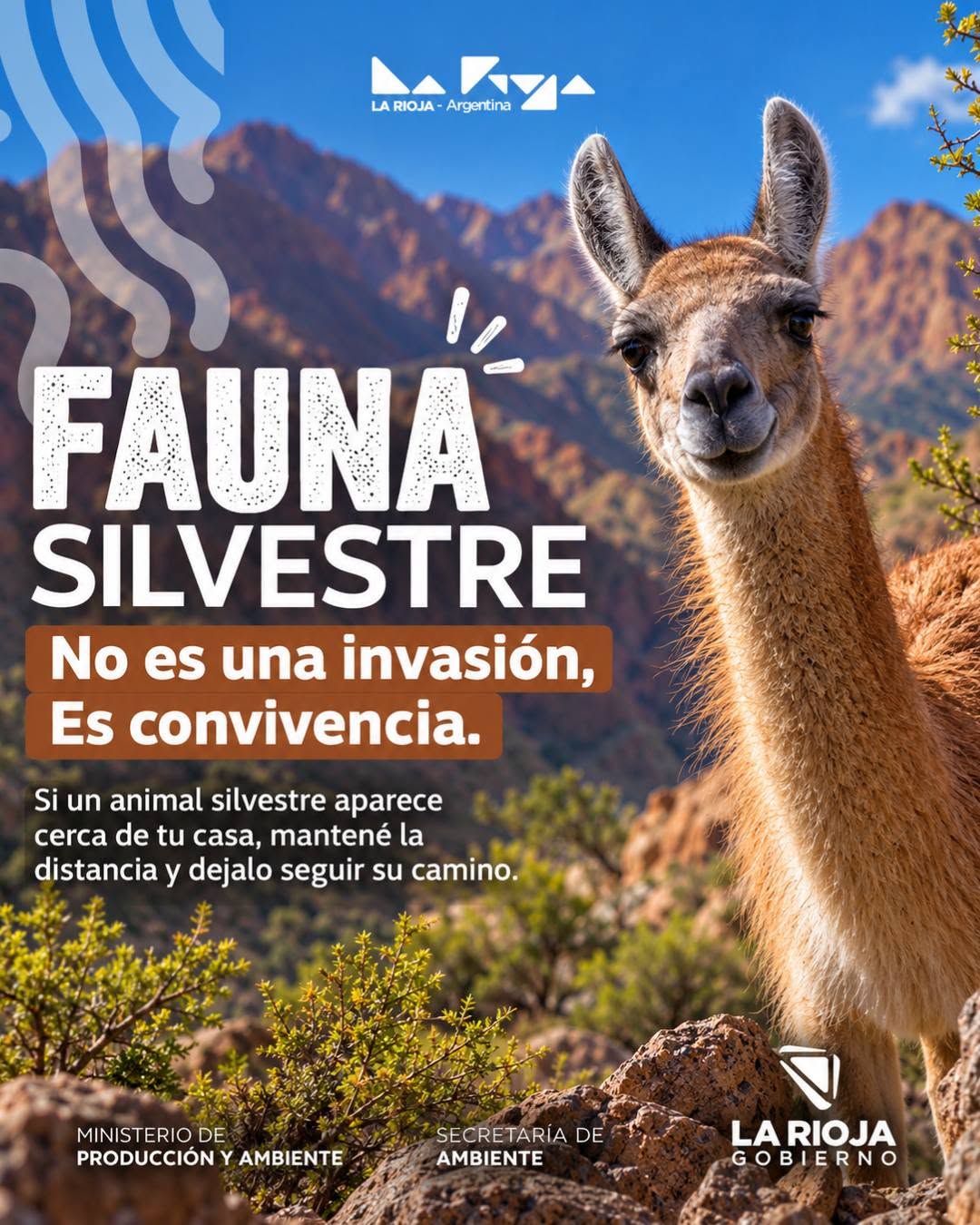 ¿La fauna silvestre está entrando a la ciudad… o la ciudad está entrando en su hogar?