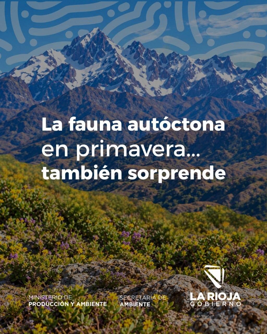 La primavera despierta mucho más que flores… ¡también despierta a nuestra fauna!